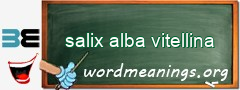 WordMeaning blackboard for salix alba vitellina